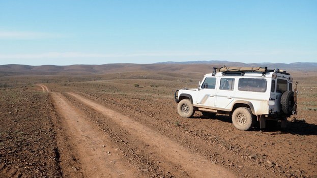 Landy-min.png