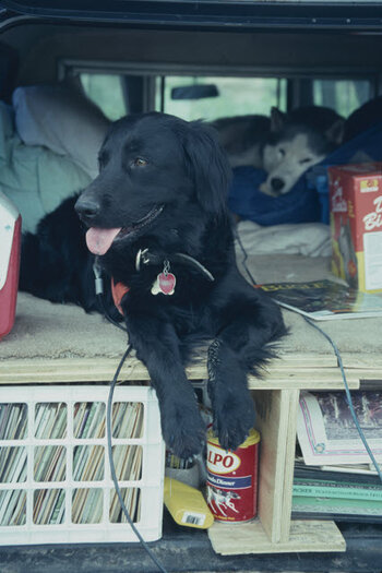 Minnie Brandy 1993 San Rafael Desert.jpg