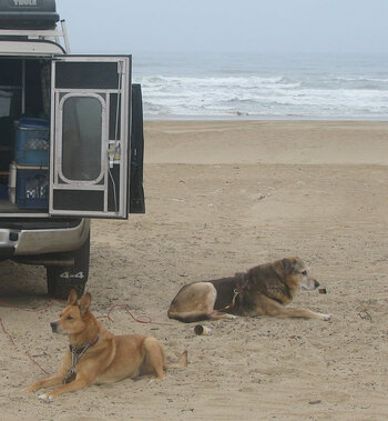 Kiana Bruno Pismo Beach CA 2010.JPG