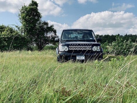 LR4.jpg