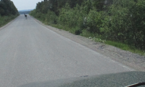 Screenshot from 2025-07-15 17-06-08.png
