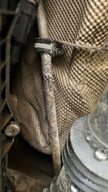 IMG_6013.jpeg