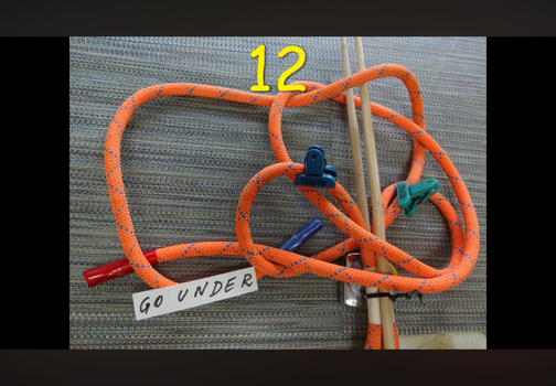 IMG_2394.png