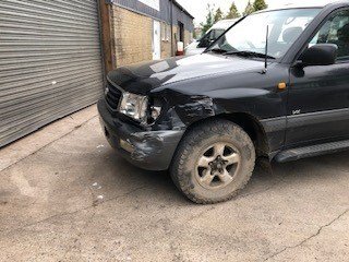 Oak Tree meets landcruiser.jpg