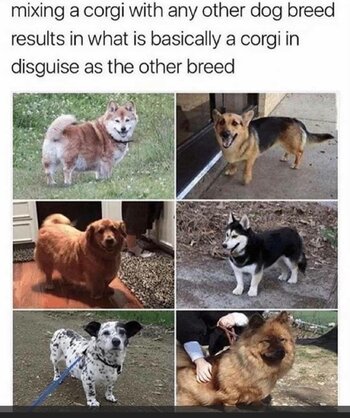 IMG_0531.jpeg