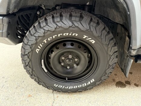 IMG_2223 Medium.jpeg