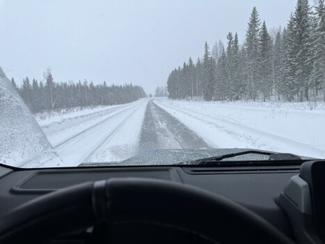 IMG_4697.jpeg IMG_4697.jpeg