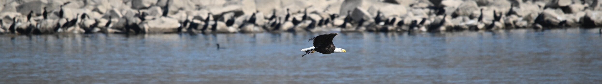 _DSC4305.jpeg _DSC4305.jpeg