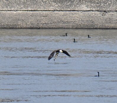 _DSC4693.jpeg _DSC4693.jpeg