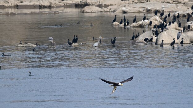 _DSC4701.jpeg _DSC4701.jpeg