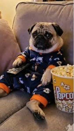 Screenshot 2026-04-20 095125.jpg