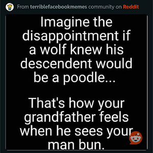 1704673517644.png