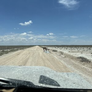 IMG_0326.jpeg