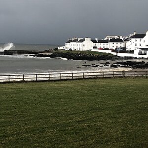 IMG_2166.jpeg