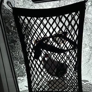 IMG_0555.jpeg