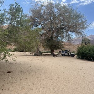 IMG_1499.jpeg