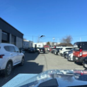 IMG_2609.jpeg