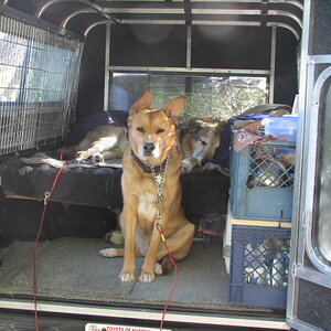 IMG_9579 - Copy.JPG