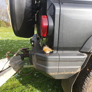 Robin inspecting tow ball step trailer foul..jpg