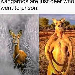 1733024519357.png