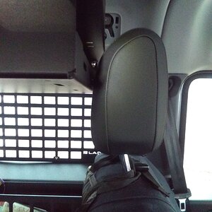 IG LG Headrest CLEARANCE.JPG