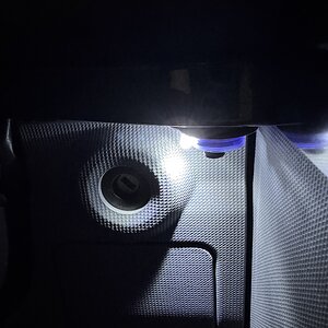 IMG_2372.jpeg