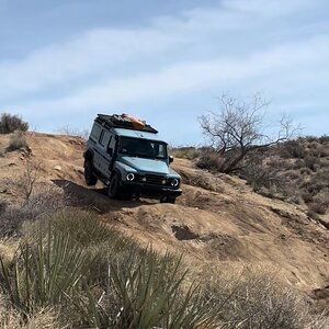 IMG_2389.jpg