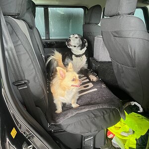 IMG_1362 (1).jpeg