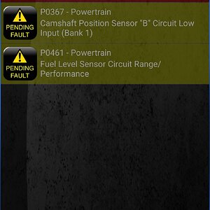 Screenshot_20250401_185201_Torque.jpg