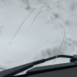 IMG_0666.jpeg