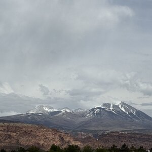 IMG_1367.jpeg