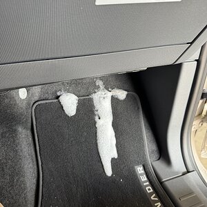 IMG_4017.jpeg