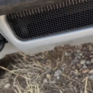 BumperCam1.mov