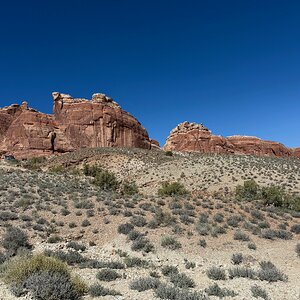IMG_4101.jpeg
