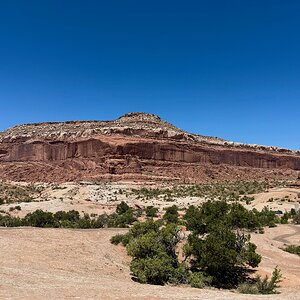 IMG_4170.jpeg