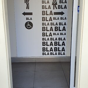 20250515_083519.jpg