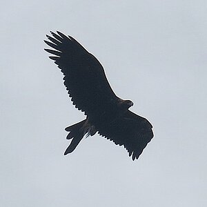 IMG_63430.JPG