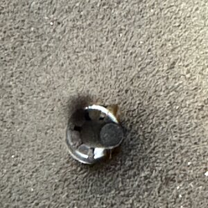 IMG_3262.jpeg