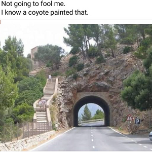 1747864657113.png
