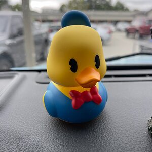 IMG_3485.jpeg