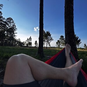 IMG_4905.jpeg