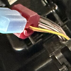 IMG_6917.jpeg