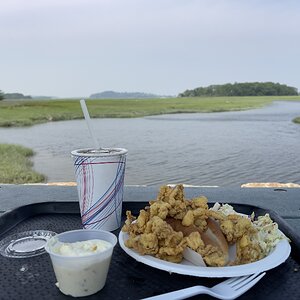 IMG_3507.jpeg