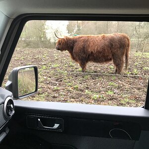 IMG_3624.jpeg