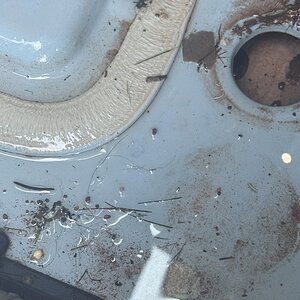 IMG_6942.jpeg