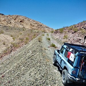 IMG_0211.jpeg