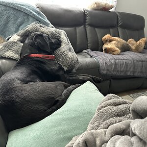 IMG_0247.jpeg