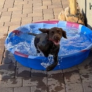 IMG_2547.jpeg