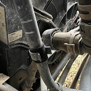 IMG_5149.jpeg
