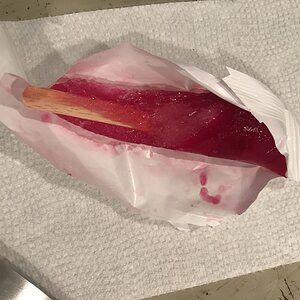 BAECE900-FFB3-427E-A9E8-54FDD2C0509E.jpeg